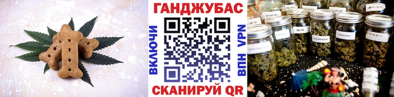 закладка  MEGA ССЫЛКА  Cannafood конопля  Сольвычегодск 