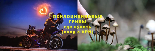 Альфа ПВП Алзамай
