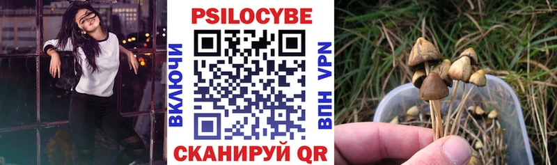blacksprut ссылки  как найти закладки  Сольвычегодск  Псилоцибиновые грибы ЛСД 
